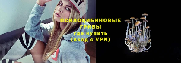 прущий лед Алексеевка
